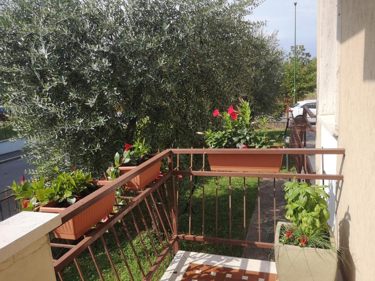 Ai Quattro Ulivi Appartement Peschiera del Garda Buitenkant foto
